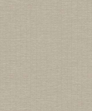 Shaped Spaces S0303