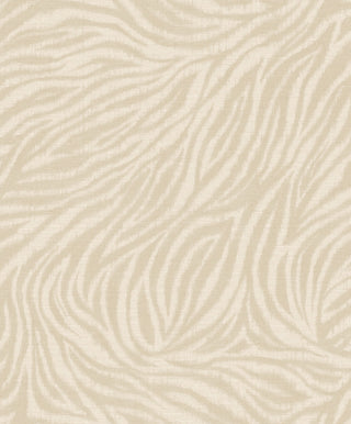 Shaped Spaces S4101