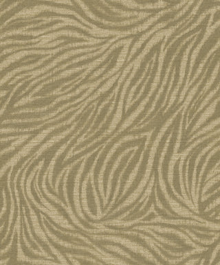 Shaped Spaces S4102