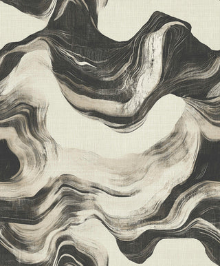 Shaped Spaces S5101