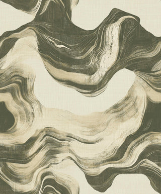 Shaped Spaces S5102