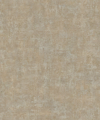 Shaped Spaces S5404