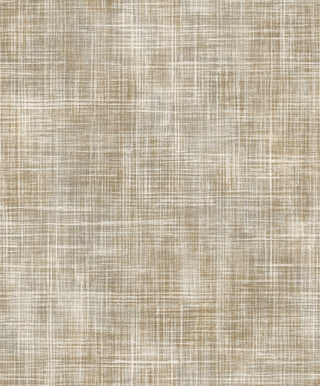 Shaped Spaces S5501