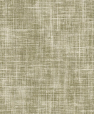 Shaped Spaces S5502