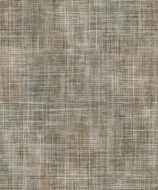 Shaped Spaces S5503
