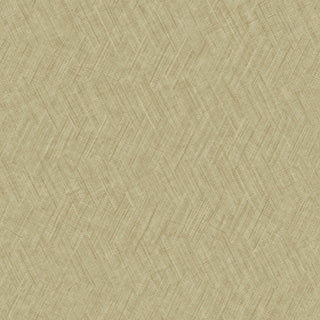 Shaped Spaces S8306
